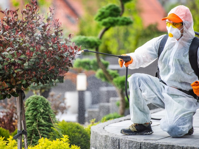 Koyulhisar Haşere İlaçlama